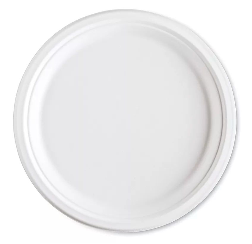10 Inch Compostable Dinner Plate